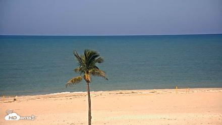 Sanibel Island Flordia Live Webcam - Jun 8, 2026, 10:19am EDT