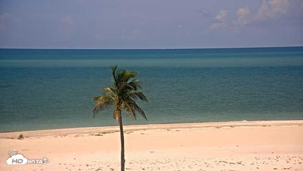 Sanibel Island Flordia Live Webcam - Aug 14, 2026, 11:47am EDT