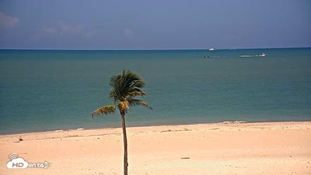 Sanibel Island Flordia Live Webcam - May 20, 2026, 11:04am EDT