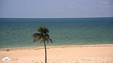 Sanibel Island Flordia Live Webcam - Aug 23, 2026, 12:20pm EDT