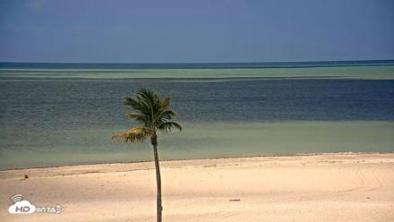 Sanibel Island Flordia Live Webcam - May 4, 2026, 11:18am EDT