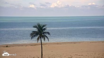 Sanibel Island Flordia Live Webcam - Sep 1, 2026, 10:45am EDT