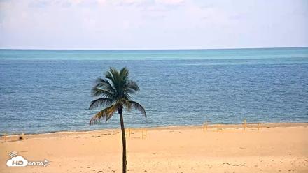 Sanibel Island Flordia Live Webcam - Jun 24, 2026, 10:55am EDT