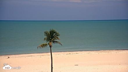 Sanibel Island Flordia Live Webcam - May 18, 2026, 12:29pm EDT