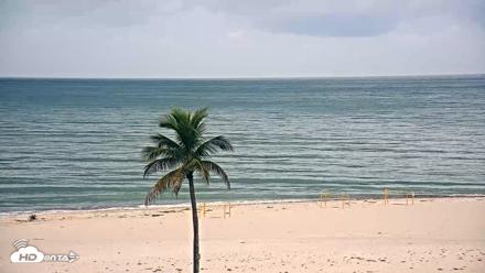 Sanibel Island Flordia Live Webcam - Jul 17, 2026, 11:16am EDT