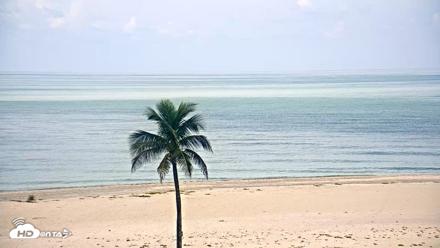 Sanibel Island Flordia Live Webcam - Aug 20, 2026, 12:04pm EDT