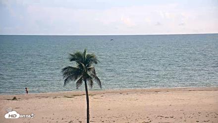 Sanibel Island Flordia Live Webcam - Aug 31, 2026, 6:31pm EDT