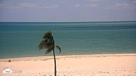Sanibel Island Flordia Live Webcam - Aug 18, 2026, 1:49pm EDT
