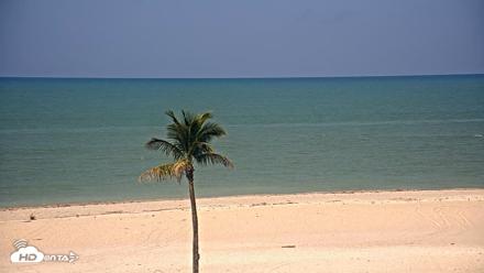 Sanibel Island Flordia Live Webcam - May 12, 2026, 10:36am EDT
