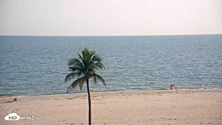 Sanibel Island Flordia Live Webcam - Jul 9, 2026, 7:15pm EDT
