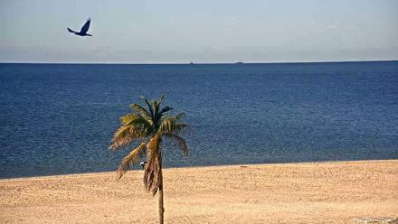 Sanibel Island Flordia Live Webcam - Oct 15, 2025, 8:38am EDT