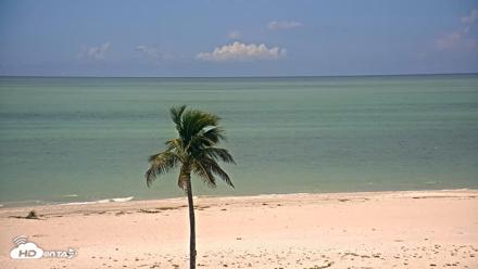 Sanibel Island Flordia Live Webcam - Sep 3, 2026, 11:49am EDT