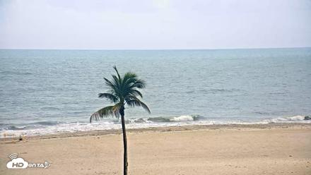 Sanibel Island Flordia Live Webcam - May 28, 2026, 7:42am EDT