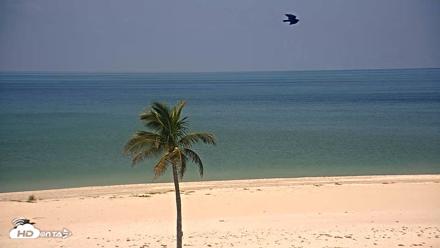 Sanibel Island Flordia Live Webcam - Aug 17, 2026, 11:54am EDT