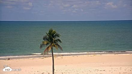 Sanibel Island Flordia Live Webcam - Aug 1, 2026, 10:43am EDT
