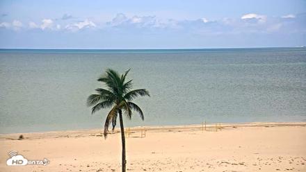 Sanibel Island Flordia Live Webcam - Aug 7, 2026, 12:03pm EDT