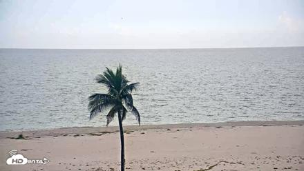 Sanibel Island Flordia Live Webcam - Sep 15, 2026, 4:24pm EDT