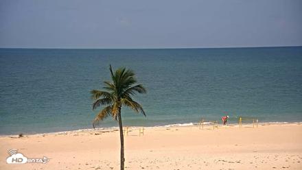Sanibel Island Flordia Live Webcam - Jul 14, 2026, 10:39am EDT