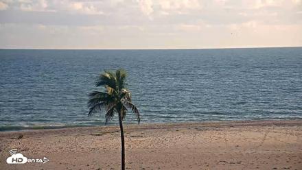 Sanibel Island Flordia Live Webcam - Aug 19, 2026, 7:03pm EDT