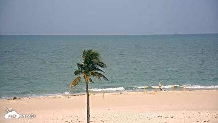 Sanibel Island Flordia Live Webcam - Jul 13, 2026, 8:59am EDT