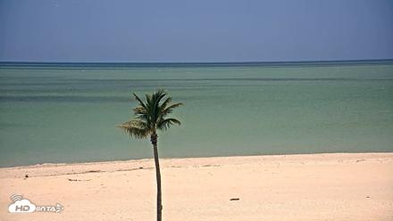 Sanibel Island Flordia Live Webcam - Apr 10, 2026, 1:32pm EDT