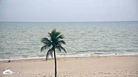 Sanibel Island Flordia Live Webcam - Aug 3, 2026, 10:36am EDT