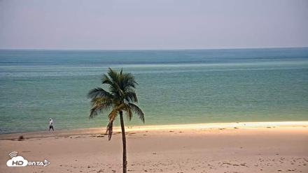 Sanibel Island Flordia Live Webcam - Aug 12, 2026, 12:02pm EDT
