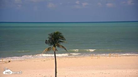 Sanibel Island Flordia Live Webcam - Jun 19, 2026, 11:14am EDT