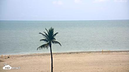 Sanibel Island Flordia Live Webcam - Jun 3, 2026, 7:01pm EDT