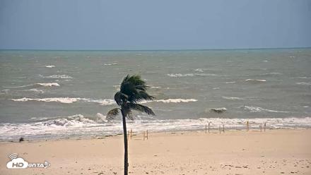 Sanibel Island Flordia Live Webcam - Jul 21, 2026, 1:56pm EDT