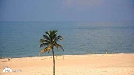 Sanibel Island Flordia Live Webcam - Jun 30, 2026, 9:46am EDT