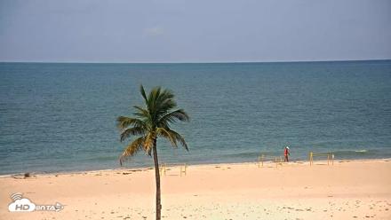 Sanibel Island Flordia Live Webcam - Jul 14, 2026, 10:39am EDT