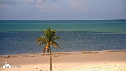 Sanibel Island Flordia Live Webcam - Aug 6, 2026, 10:43am EDT