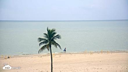 Sanibel Island Flordia Live Webcam - Jul 3, 2026, 1:54pm EDT