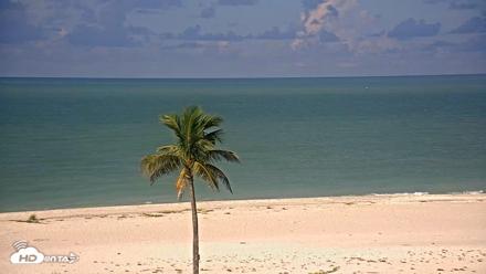 Sanibel Island Flordia Live Webcam - Sep 4, 2026, 9:03am EDT