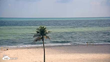 Sanibel Island Flordia Live Webcam - Jun 16, 2026, 5:15pm EDT
