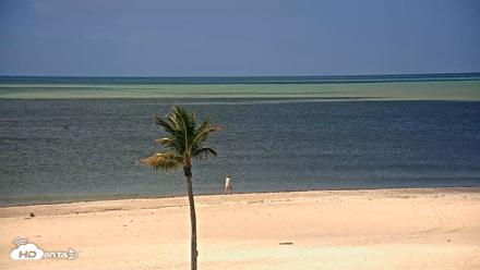 Sanibel Island Flordia Live Webcam - May 4, 2026, 11:18am EDT