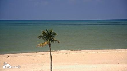Sanibel Island Flordia Live Webcam - May 13, 2026, 10:13am EDT