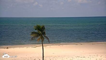 Sanibel Island Flordia Live Webcam - Aug 19, 2026, 12:06pm EDT