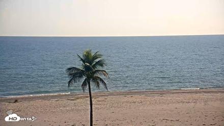 Sanibel Island Flordia Live Webcam - Aug 26, 2026, 7:02pm EDT