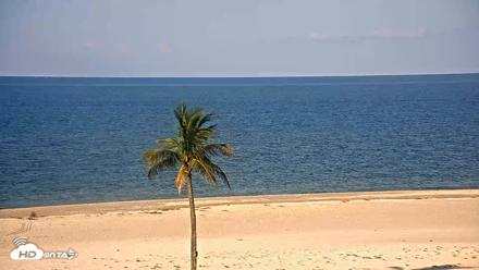 Sanibel Island Flordia Live Webcam - Aug 14, 2026, 8:34am EDT