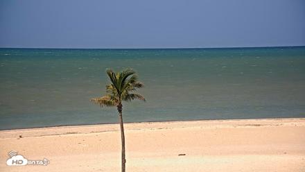 Sanibel Island Flordia Live Webcam - Apr 22, 2026, 10:22am EDT