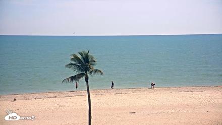 Sanibel Island Flordia Live Webcam - May 8, 2026, 4:43pm EDT
