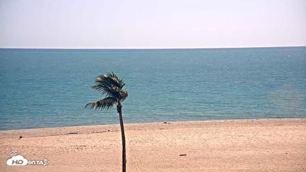 Sanibel Island Flordia Live Webcam - Apr 16, 2026, 4:52pm EDT