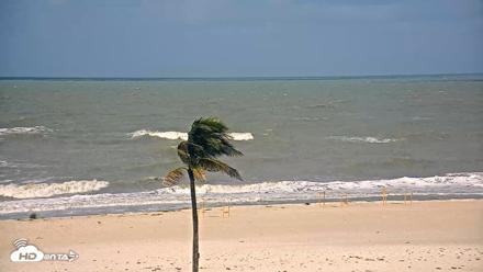 Sanibel Island Flordia Live Webcam - Jul 21, 2026, 10:16am EDT
