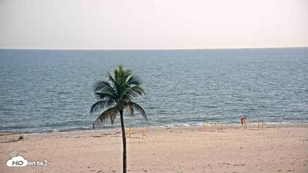 Sanibel Island Flordia Live Webcam - Jul 9, 2026, 7:15pm EDT