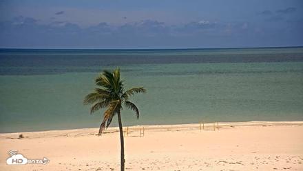 Sanibel Island Flordia Live Webcam - Aug 7, 2026, 11:46am EDT