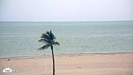 Sanibel Island Flordia Live Webcam - May 16, 2026, 4:16pm EDT