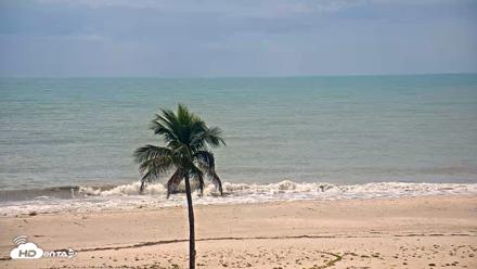 Sanibel Island Flordia Live Webcam - Oct 11, 2026, 1:31pm EDT
