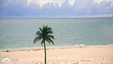 Sanibel Island Flordia Live Webcam - Sep 3, 2026, 8:45am EDT